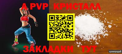 стафф Новозыбков