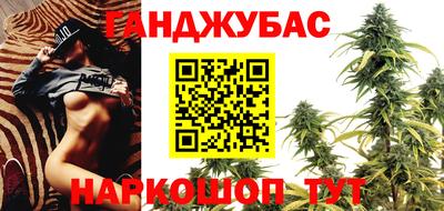 тгк Новодвинск