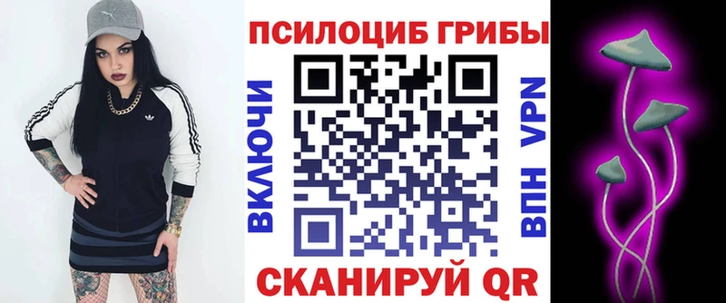 сайты даркнета как зайти  Иркутск  Псилоцибиновые грибы Psilocybine cubensis  OMG вход 